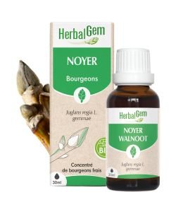 Noyer (Juglans regia) bourgeon BIO, 30 ml